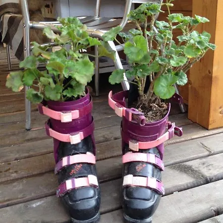 Anastasia Pensjonat 3*